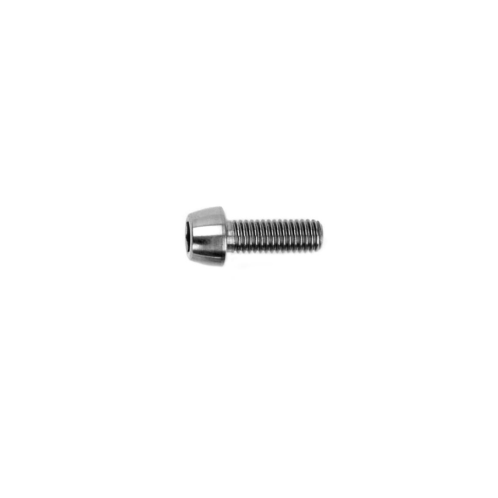 SYNTACE Titanium Bolts M6 X 14, each