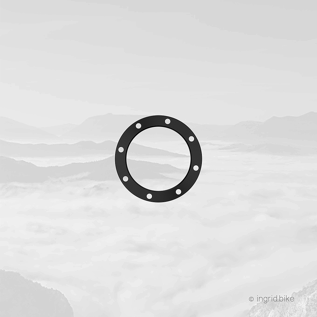 INGRID Chainring Lock Ring for CRS (SPARE)
