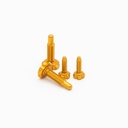 OAK Screw Set [2 pc. CPA & 2 pc. EPA] for Root-Lever Pro - Gold