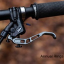 OAK Covers para Magura - Annual Rings